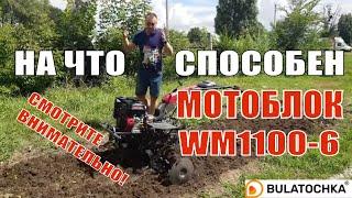 На что способен КИТАЙСКИЙ мотоблок, стоит покупать? Обзор мотоблока #WEIMA DELUXE WM1100C-6 (Diff)