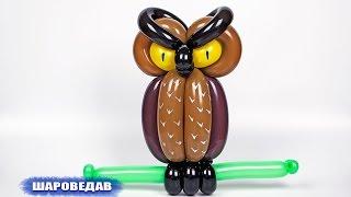 Owl of balloons