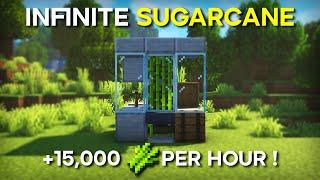 Minecraft's BEST Sugar Cane Farm Bedrock 1.19 - 15,000+ PER HOUR ! ( No Zero Tick )