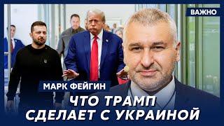 Фейгин о тайных переговорах Путина и Трампа