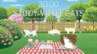 Study with Cats  Animation x Pomodoro 30/10 | Spring Study in the Backyard  | Chill Beats Mix
