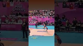 #volleyball #pinkspide #korea #kovo2025 #kovo분석