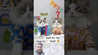 " Puff the Cat Does MAGIC?! You Won’t Believe What Happens!  #ThatLittlePuff"#usa