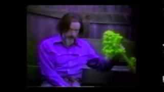 Alan Watts Work as Play