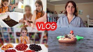 VLOG Страдаем от жары. Речка. Тарантул