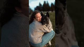 Nachtwanderung & Fotoshooting 🫶 #hunde #tauberhund #hunde #akita #fotoshooting #liebe