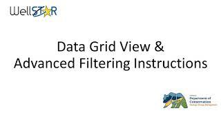 WellSTAR Data Grid View and Advanced Filtering Instructions