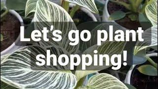 🪴LETS GO PLANT SHOPPING AT THE BIG BOX STORES | SNEAK PEAK 🪴