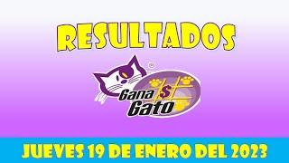 RESULTADO SORTEO GANA GATO DEL JUEVES 19 DE ENERO DEL 2023