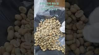 우면동 커피볶는집, 바로카페  결점두 제거 과정
