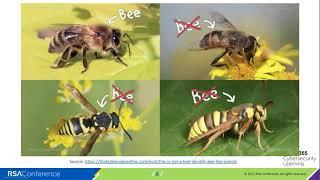 Webcast: What Cybersecurity Practitioners Can Learn from Honeybees
