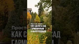 Как сделать сад гармоничным и малоуходным. Простой прием