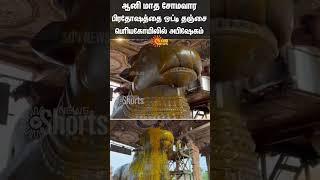 Thanjavur | Periya Kovil | Devotees | Tamil Nadu | Sun News