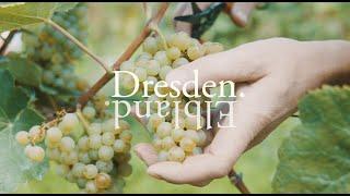 Willkommen in Dresden Elbland