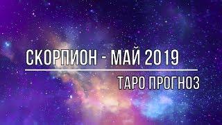 СКОРПИОН МАЙ 2019  ТАРО ПРОГНОЗ