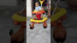 Ku du ku || Chicken Dance #shorts #viral #trending