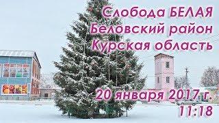 Слобода Белая, Беловский район, Курская область. Прогулка 20 января 2018 г.