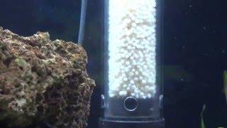 Innovative Marine internal Nitrate reactor with Bio Pearls