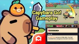 Capybara Go Game Gameplay