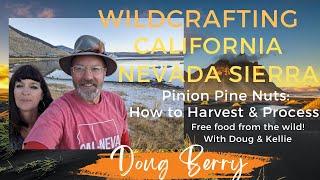 Wildcrafting California Nevada Sierra, Doug Berry