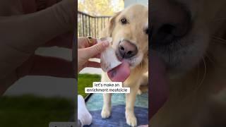 These will be perfect for summer! ️#dogenrichment #meatcicle #summerdog