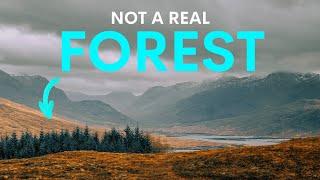 These Forests Aren't Actually Forests - here's why