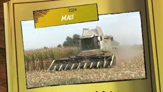 Claas Lexion 570 TT e Olimac Drago 2024 granella mais