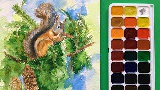 Белка рисунок акварелью/Как нарисовать белочку/ Watercolor Painting of a Squirrel