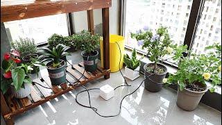 sPlant Automatic Watering System Plants Drip Irrigation Kit, Installation Steps