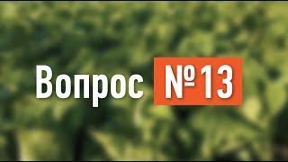 Вопрос №13. Высокие грядки. Плюсы и минусы.