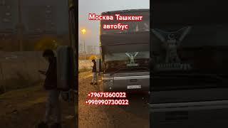 #россия #узбекистон #musofir #moskva #toshkent #avtobus #краснодар #ташкент #автобус Москва Ташкент