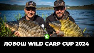 ШАРАНДЖИЙСКО СЪСТЕЗАНИЕ LOBOSH WILD CARP CUP 2024