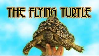 THE FLYING TURTLE