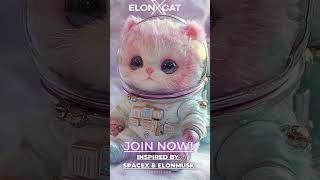 Step Into the Future with ElonXCat’s Vision