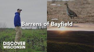 Wisconsin’s Barrens of the Northwest Sands