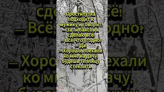 Поехали теплицу стеклить... 