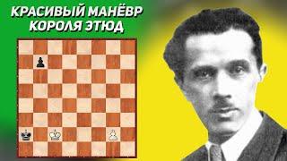 Красивый манёвр короля. Шахматный этюд. Николай Григорьев, 1928 год. Шахматная композиция. Шахматы.