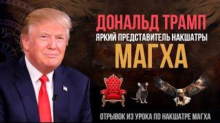 Трамп - яркий представитель накшатры Магха #175