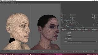 Tutorial on Head and body morphs for Daz3d