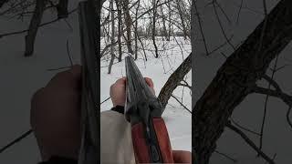 охота на заяца проходящий
