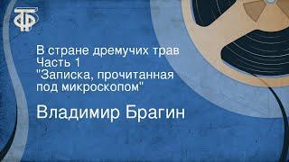 Владимир Брагин. В стране дремучих трав. Часть 1. "Записка, прочитанная под микроскопом"