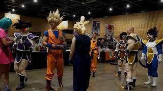 Dragonball Fusion Cosplay