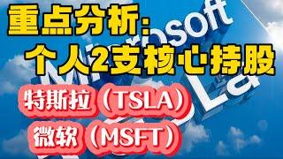 重点分析： 个人2 支核心持股：特斯拉（TSLA） | 微软（MSFT） |