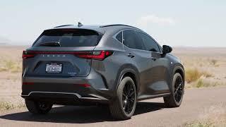 LEXUS NX 350h 2022 | Facelift