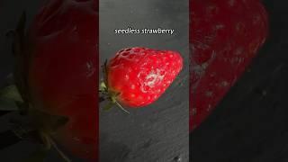 Seedless Strawberry