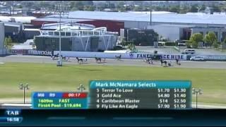 Harness Racing 20121116 New Zealand Woodlands Stud Free-For-All