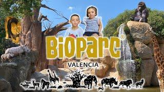 Bioparc Valencia #bioparc