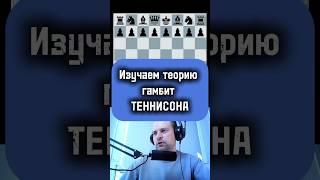 Гамбит Теннисона #chess #стрим #stream #гамбит #каша #lichess #podcast #игры #дебют #rawersson