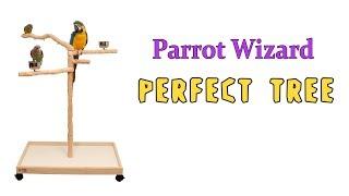 Parrot Wizard Perfect Tree