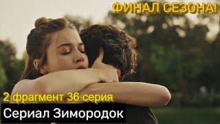 2 ФРАГМЕНТ! Турецкий сериал Зимородок 36 серия финальная русская озвучка